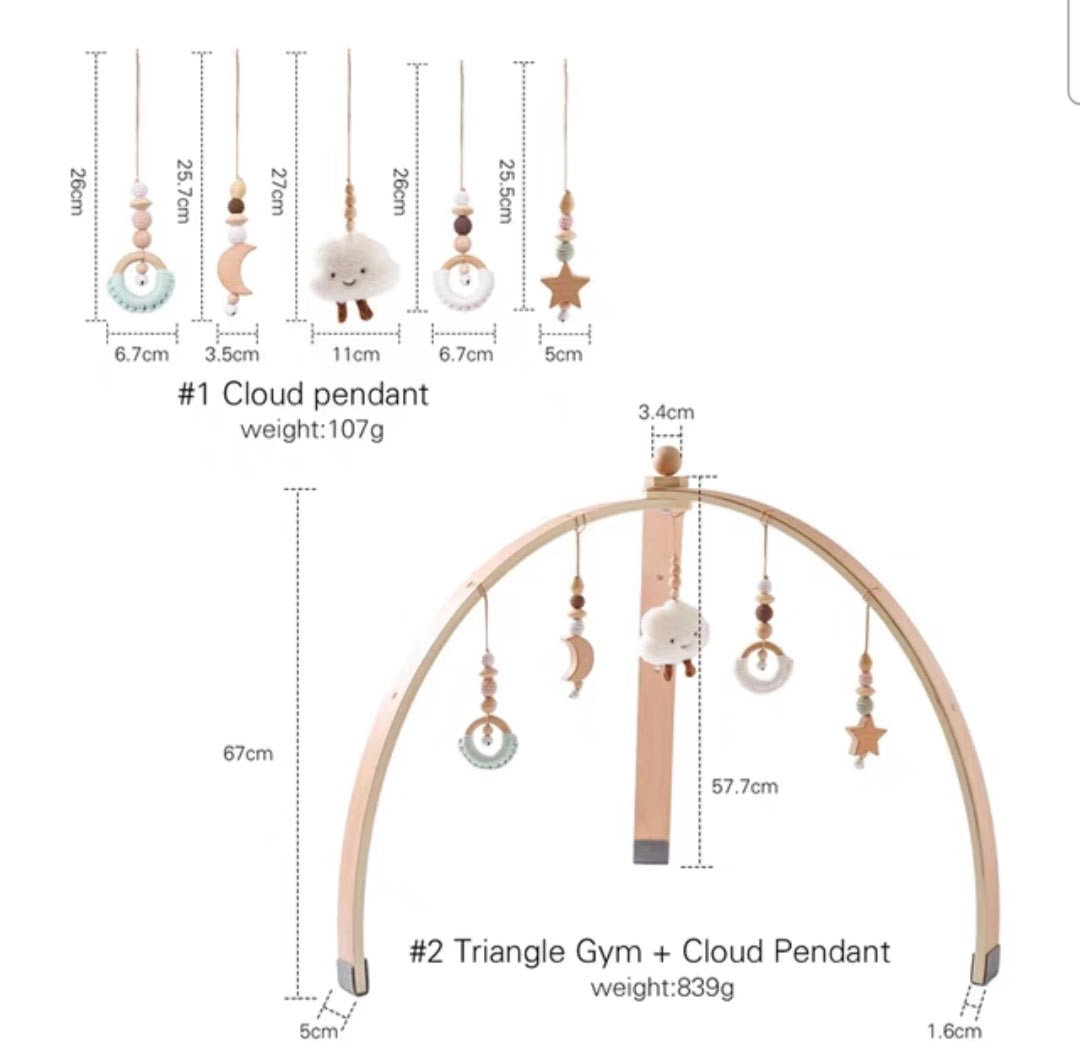 Baby Gym (For Pre-Order)