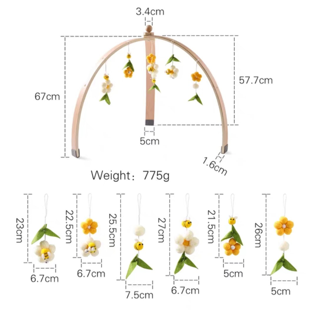 Baby Gym (For Pre-Order)