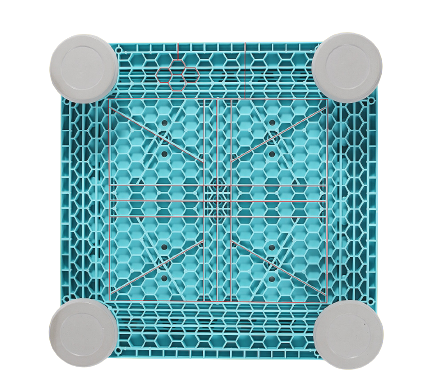 Trampoline (For Pre-Order)