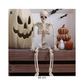 Seasonal - Halloween - Skeleton Decor (Pre-Order)